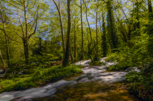 _DSC0002